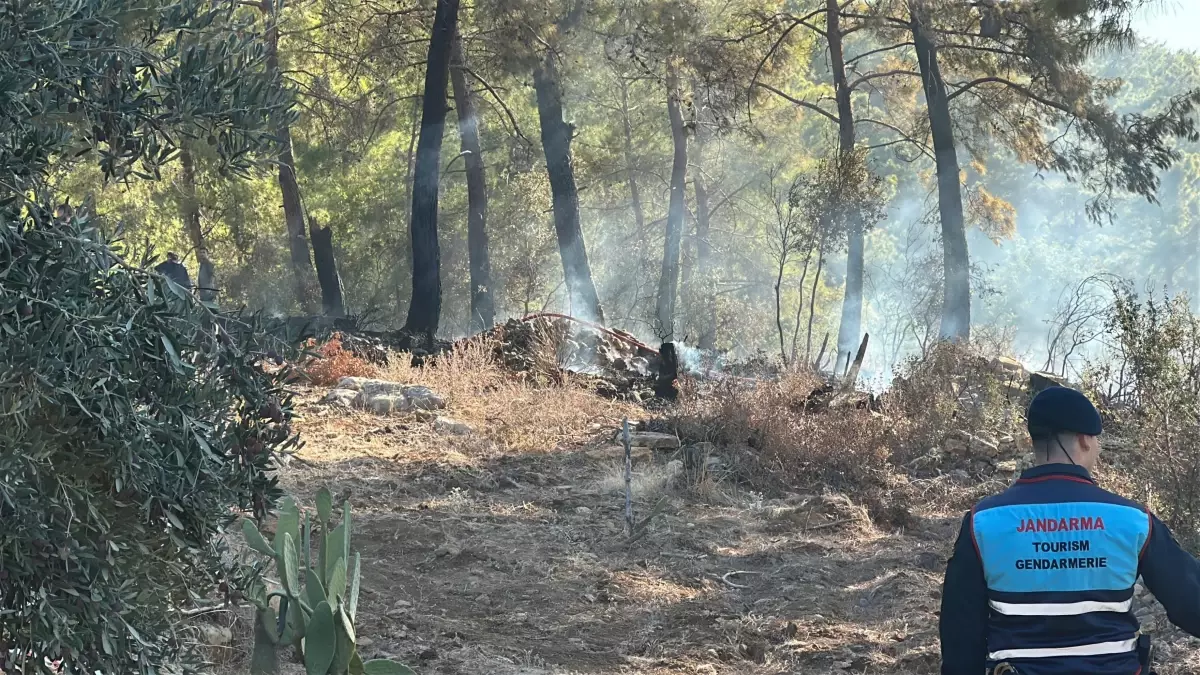 Alanya’da Hava Aracı Yangına Neden Oldu